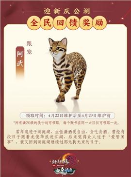 天龙八部私服道士无极真气